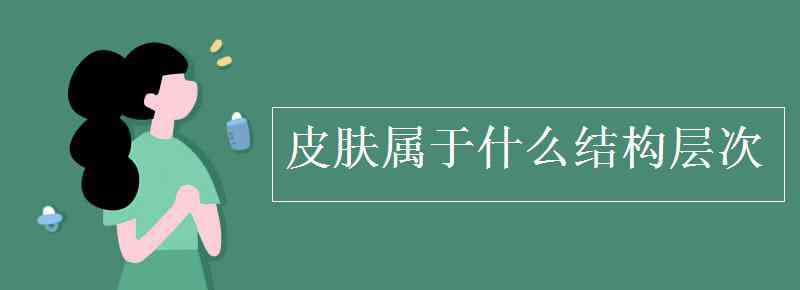 皮肤是组织还是器官 皮肤属于什么结构层次