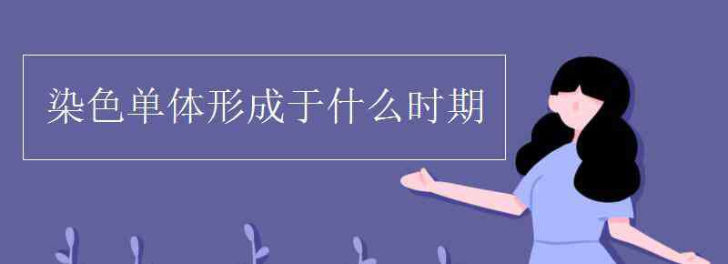 染色单体是什么 染色单体形成于什么时期