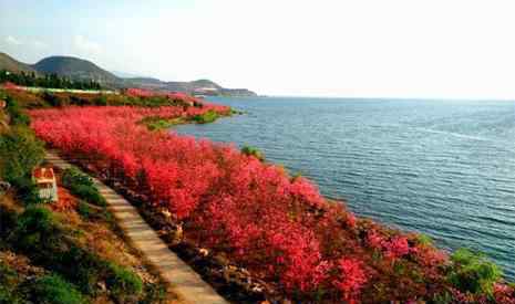 抚仙湖门票 2019抚仙湖樱花节门票 抚仙湖游玩攻略