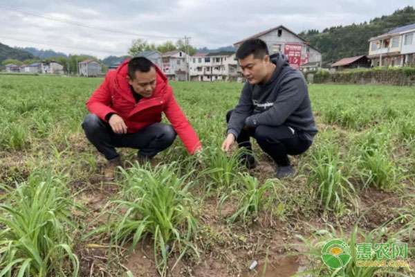 大山培达 号外号外丨大山里的脱贫攻坚战：电商精准扶贫，农旅融合发展