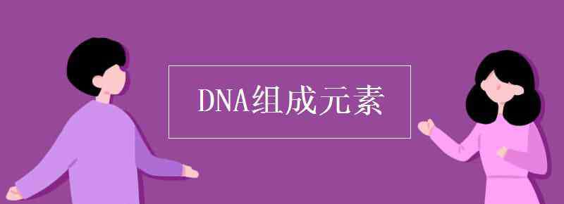 dna的组成元素 DNA组成元素
