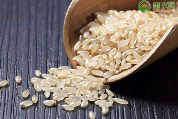 糙米是什么 糙米是什么？
