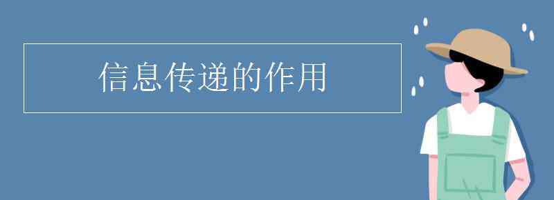 信息传递的作用 信息传递的作用