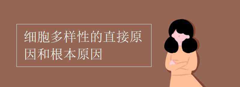 蛋白质多样性的根本原因 细胞多样性的直接原因和根本原因