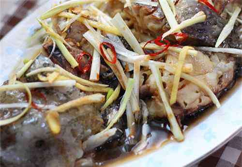 海参斑鱼最好吃的做法 海参斑鱼多少钱一斤 海参斑鱼好不好