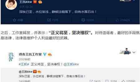 王凯同性恋 王凯回应同性恋不雅视频“静候法槌落下”，网友称忍了太久