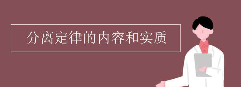 分离定律的内容 分离定律的内容和实质