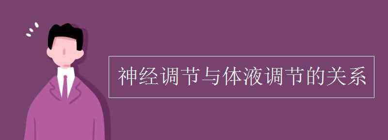 神经调节和体液调节的关系 神经调节与体液调节的关系