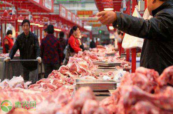 猪肉价格今日价一斤 猪肉价格今日价多少钱一斤？猪肉最新行情走势分析