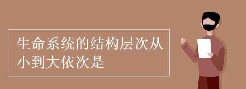 生命系统的结构层次 生命系统的结构层次从小到大依次是