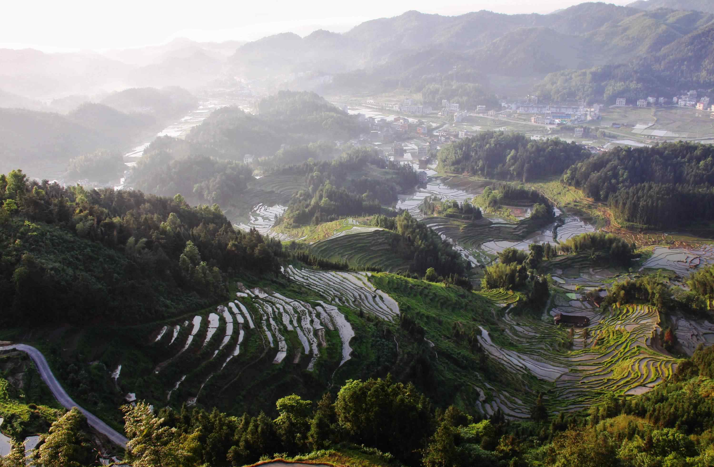 紫鹊界梯田 湖南紫鹊界梯田游记