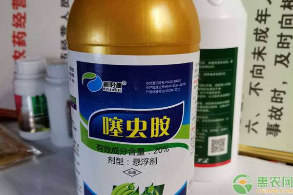 噻虫胺 噻虫胺防治对象，能打什么害虫？