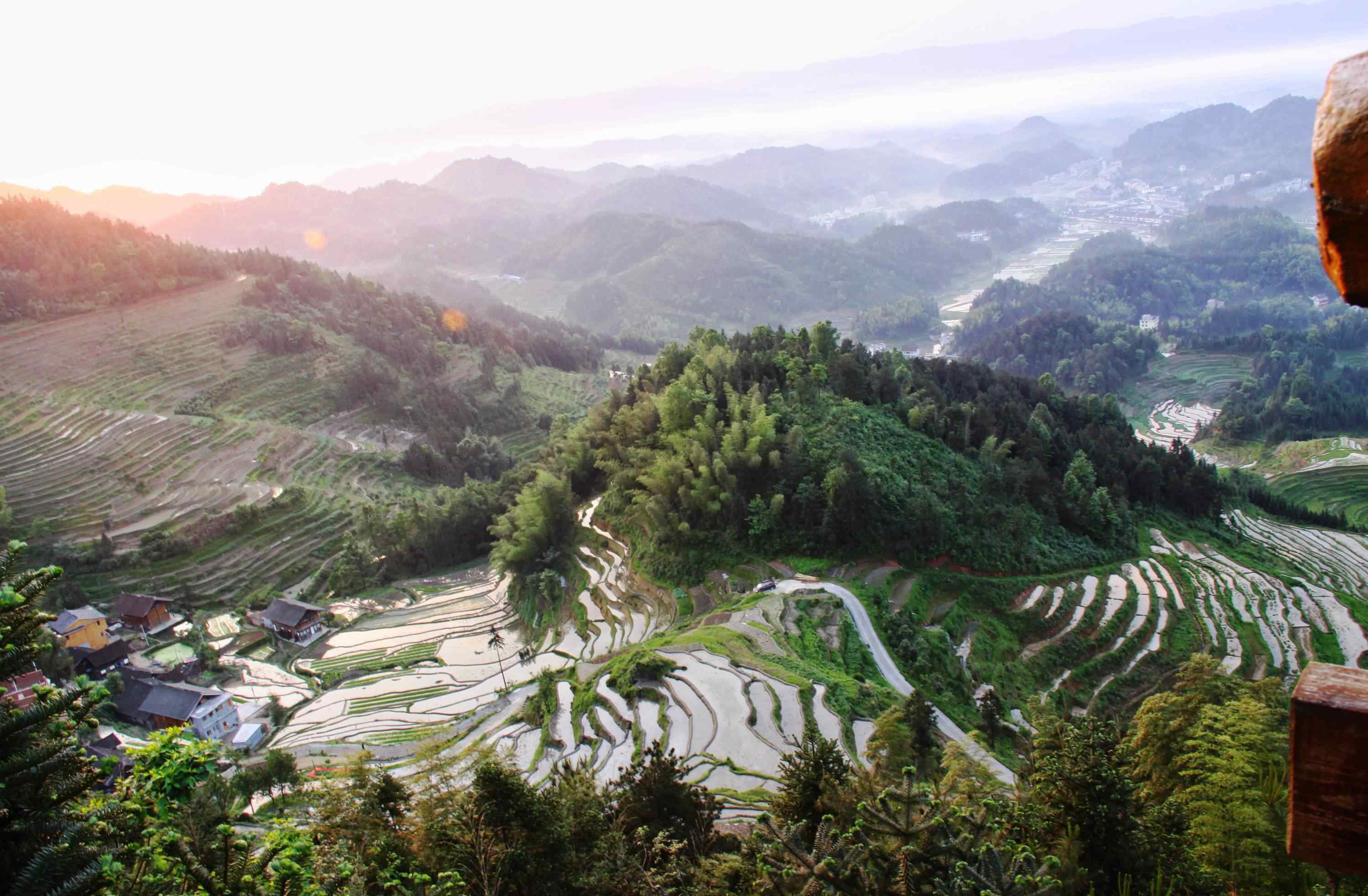 紫鹊界梯田 湖南紫鹊界梯田游记