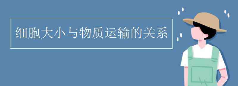 细胞大小与物质运输的关系实验 细胞大小与物质运输的关系