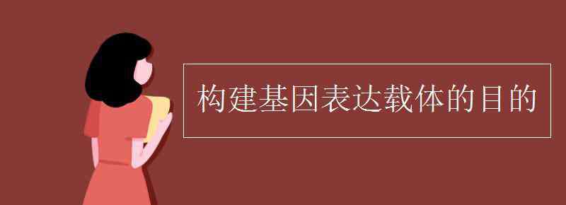 构建基因表达载体的目的 构建基因表达载体的目的