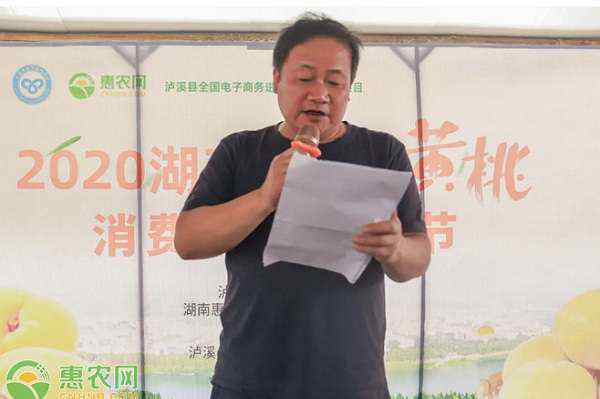 七仙洞 2020湖南泸溪黄桃消费扶贫采摘节开幕，各路短视频达人助力黄桃网销！