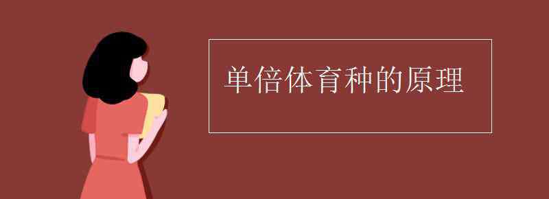 单倍体育种 单倍体育种的原理