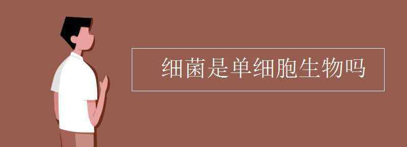 细菌是单细胞生物吗 细菌是单细胞生物吗