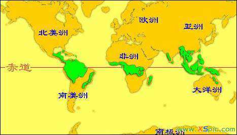 热带雨林气候分布 热带雨林气候主要分布在哪些地区