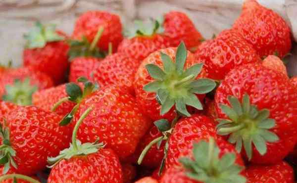 草莓采摘园 北京草莓采摘园哪里好 2020北京周边草莓采摘园有哪些