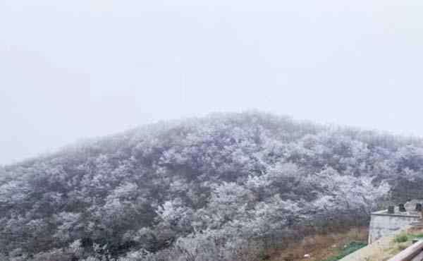 浙江下雪 2019-2020浙江下雪了吗 浙江哪里看雪比较好