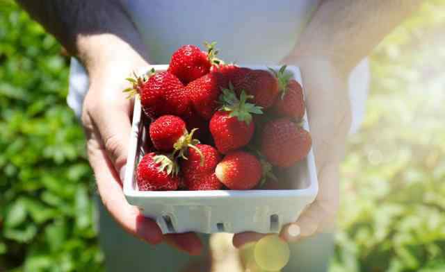 什么品种的草莓好吃 好吃的草莓自己种出来，附超详细的种植方法和品种介绍