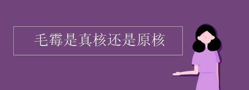 毛霉是真核还是原核 毛霉是真核还是原核