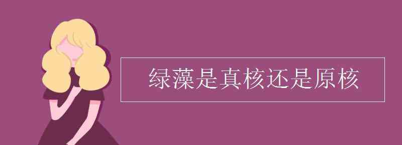 小球藻是真核还是原核 绿藻是真核还是原核