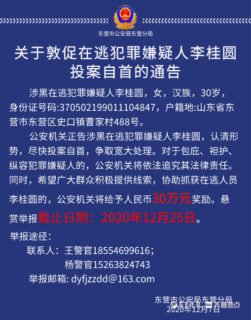 悬赏从2万涨到30万 起底山东90后涉黑女头目：跟第二任丈夫走上黑道