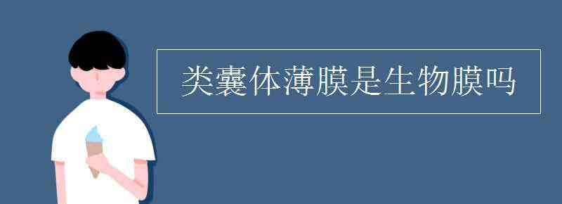 类囊体薄膜是生物膜吗 类囊体薄膜是生物膜吗