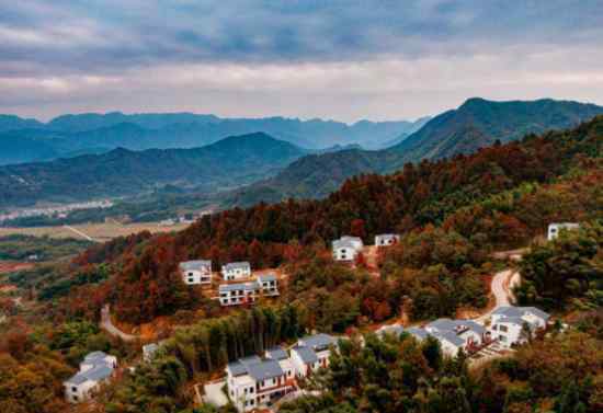 水云涧 花开池州，山色沐云笼灵烟，雾里悠行水云涧