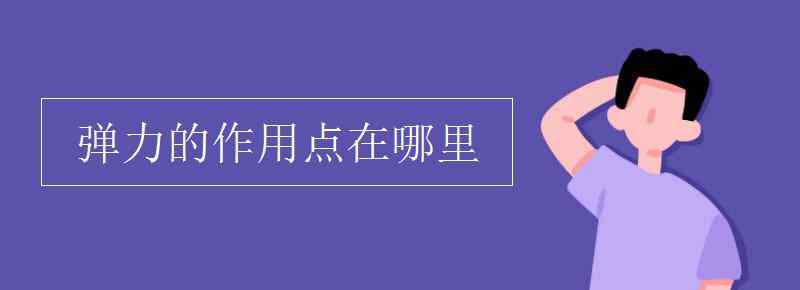 弹力的作用点 弹力的作用点在哪里