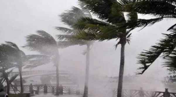 第8号台风玛莉亚 2018年第8号台风玛莉亚会影响哪些省 邮轮遇到台风怎么办