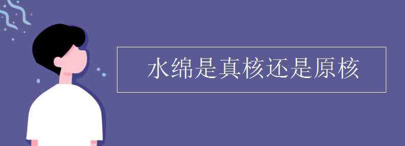 绿藻是真核还是原核 水绵是真核还是原核