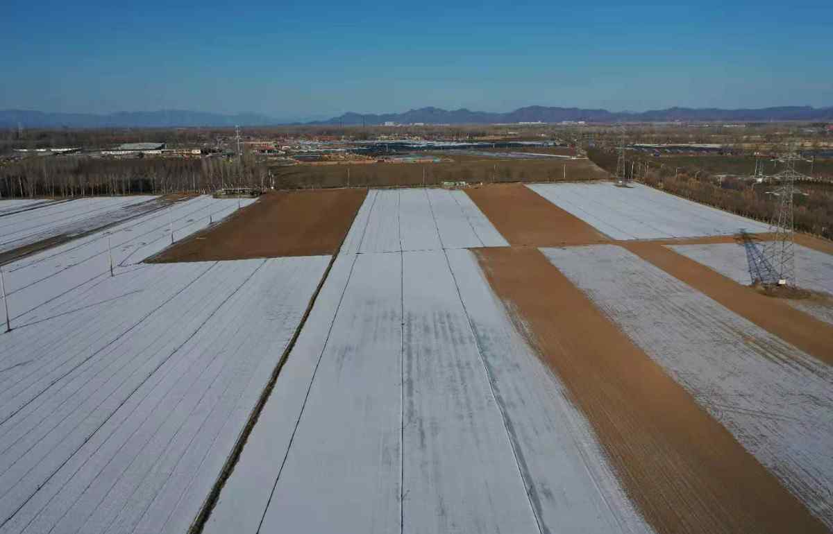 京郊 田野被皑皑白雪覆盖……