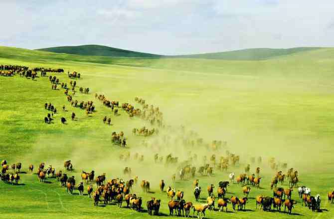 呼伦贝尔旅游局 呼伦贝尔旅游攻略——小楠竭诚为您服务