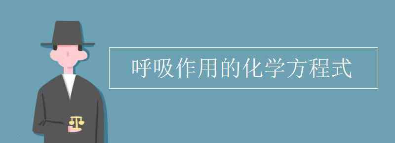 呼吸作用的反应式 呼吸作用的化学方程式