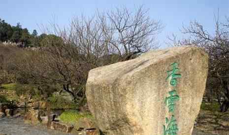 苏州梅花 2019苏州香雪海太湖梅花节1月23日开幕