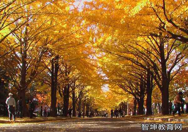 河北省大学排名一览表 河北省地区大学名单排名一览,一本大学有哪些学校