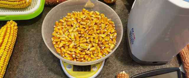 黑龙江玉米种子网 黑龙江第三积温玉米种子，农民选择性更强，上市公司，宏育601