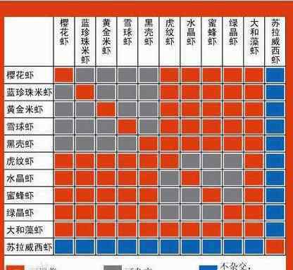 黑壳虾繁殖 黑壳虾的杂交图谱以及一些常见问题