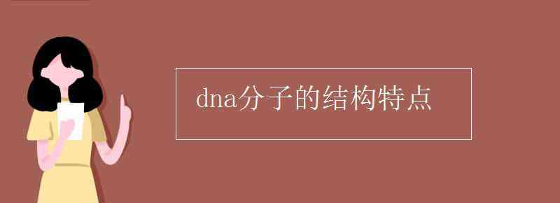 dna分子结构特点 dna分子的结构特点