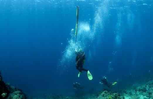 浮潜 浮潜去哪里 浮潜胜地推荐世界篇