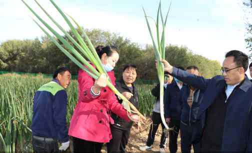 长子营 大兴长子营镇“五村联营”增强集体经济“造血功能”