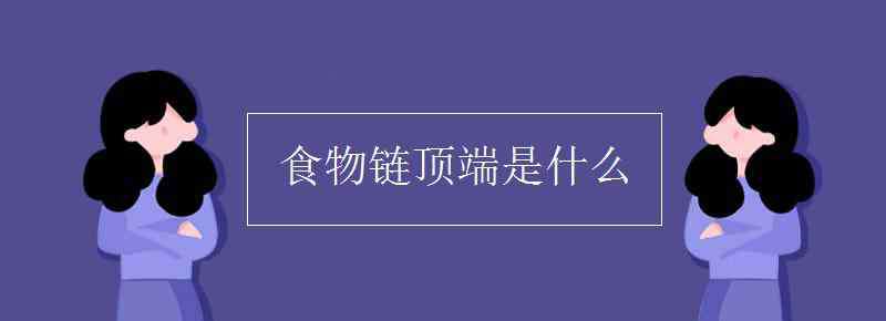 食物链的顶端是什么 食物链顶端是什么