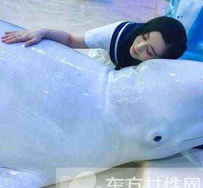 范冰冰吻白鲸 造型清纯搂大白鲸 范冰冰无名指戒指抢镜