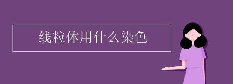 线粒体用什么染色 线粒体用什么染色