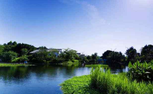 海珠湿地公园 2020广州海珠国家湿地公园门票天气及景点介绍