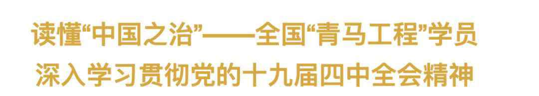 中国之治 “中国之治” 为什么行？