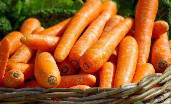 胡萝卜怎么种 胡萝卜怎么种植产量高？掌握这五点技巧就行了